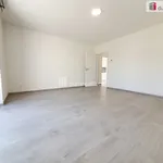 Rent 1 bedroom house of 112 m² in Tuhaň