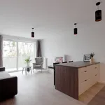 Rent 2 bedroom apartment of 52 m² in szczecin