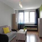 Rent 2 bedroom apartment of 49 m² in Łódź