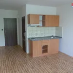 Rent 1 bedroom apartment in Ostrava