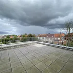 Rent 1 bedroom apartment in Geel