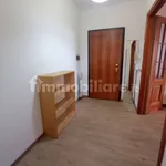 Rent 4 bedroom apartment of 100 m² in Modena