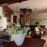 Rent 9 bedroom house of 300 m² in Vico Equense