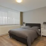 Rent 1 bedroom apartment of 90 m² in Arnhem