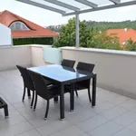 Rent 3 bedroom apartment of 140 m² in Budapest