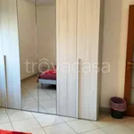 Rent 3 bedroom apartment of 67 m² in Cinisello Balsamo