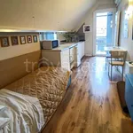 Rent 1 bedroom apartment of 30 m² in Milano