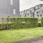 Rent 3 bedroom apartment in Gent