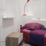 Rent 4 bedroom apartment in Rome