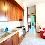 2-room flat via Luigi Capuana 50, Stellanda - Castellazzo, Rho