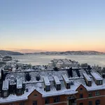 Rent 3 bedroom apartment of 63 m² in Bergen