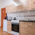 Pronajměte si 1 ložnic/e byt o rozloze 25 m² v Prague