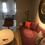 Rent 1 bedroom apartment of 19 m² in Madrid