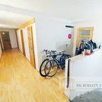 Rent 5 bedroom apartment of 150 m² in Prague