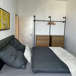 Miete 2 Schlafzimmer wohnung von 57 m² in Magdeburg