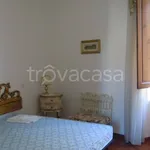 Rent 3 bedroom apartment of 110 m² in Firenze