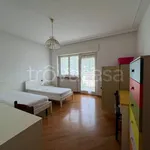 Rent 3 bedroom apartment of 80 m² in Trento