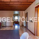 Rent 2 bedroom apartment of 158 m² in Padua