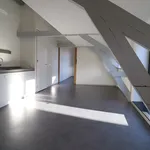 Rent 4 bedroom apartment of 251 m² in Nieuwe Werk