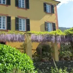 Rent 2 bedroom apartment of 35 m² in Levanto