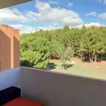 Rent 5 bedroom apartment in Madrid