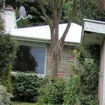 Rent 3 bedroom house in Dunedin