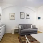 Rent 1 bedroom apartment in Turin