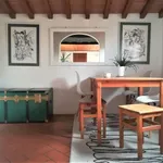 Rent 1 bedroom apartment in Florence