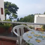 Rent 2 bedroom apartment of 40 m² in Capri