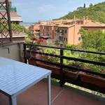 Rent 4 bedroom apartment of 80 m² in Monte Argentario