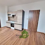 Rent 2 bedroom apartment of 42 m² in Bechyně