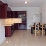 Rent 1 bedroom apartment of 50 m² in The Hague