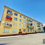 Rent 1 bedroom apartment in Sokolov