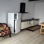 Rent 1 bedroom apartment in Saint-Étienne