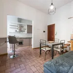 Rent 1 bedroom apartment in Florence