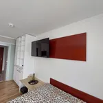 Miete 1 Schlafzimmer wohnung von 26 m² in Frankfurt am Main