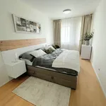 Rent 1 bedroom apartment of 37 m² in Prague