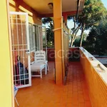 Rent 3 bedroom apartment of 76 m² in Anzio