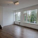 Rent 3 bedroom apartment of 64 m² in Leiden