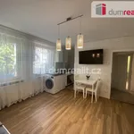 Rent 1 bedroom apartment in Břeclav