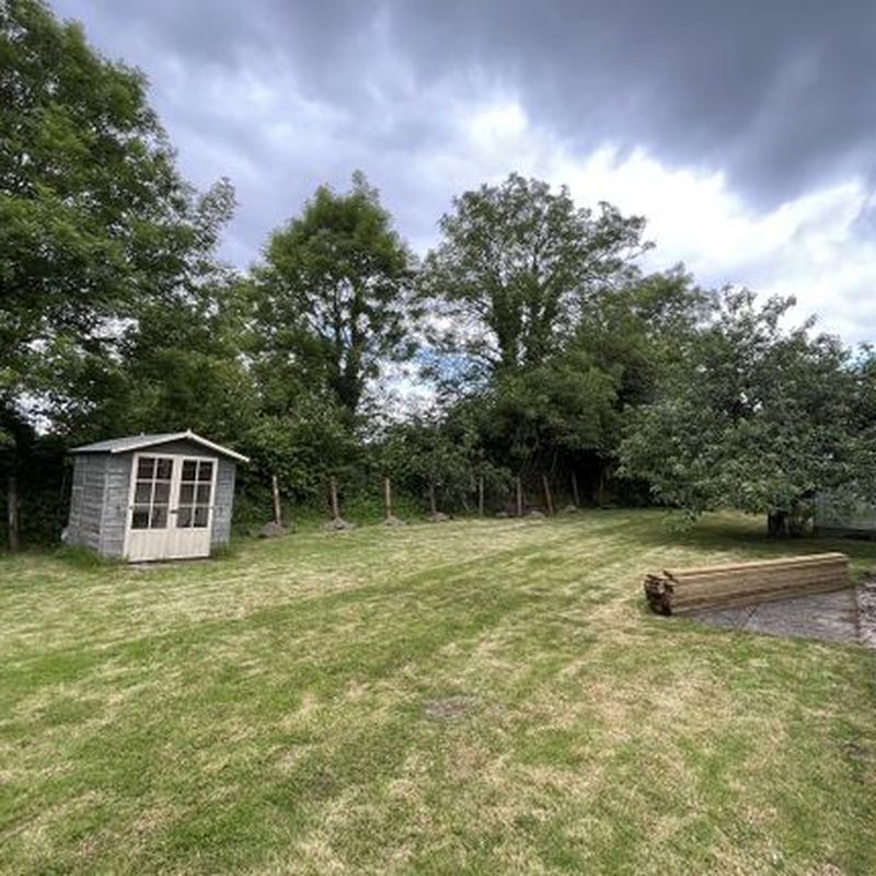 Detached bungalow to rent in Ammerham, Winsham, Chard TA20