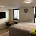 Rent 1 bedroom apartment of 30 m² in Prague