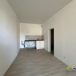 Rent 2 bedroom apartment of 36 m² in DE NOBLAT
