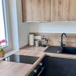 Rent 1 bedroom apartment in frankfurt