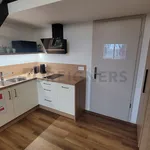 Rent 1 bedroom apartment of 32 m² in Brno