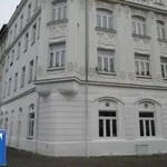 Rent 3 bedroom apartment of 8353 m² in Plauen