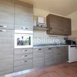 Rent 5 bedroom house of 140 m² in Arezzo