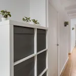 Rent 3 bedroom apartment in Barcelona