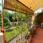 Rent 3 bedroom apartment of 100 m² in Rome