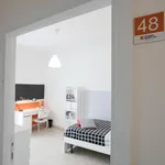 Rent 3 bedroom apartment in Naples